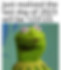 Kermit last day of year 123123.jpg