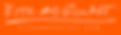 Kite and Rocket Research logo orange bac